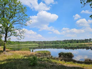 Pad door Koningsbos.